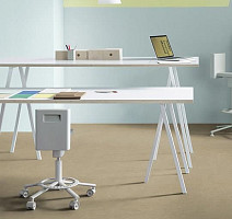 Forbo Marmoleum Decibel on Order 389035 oat фото 2 | FLOORDEALER